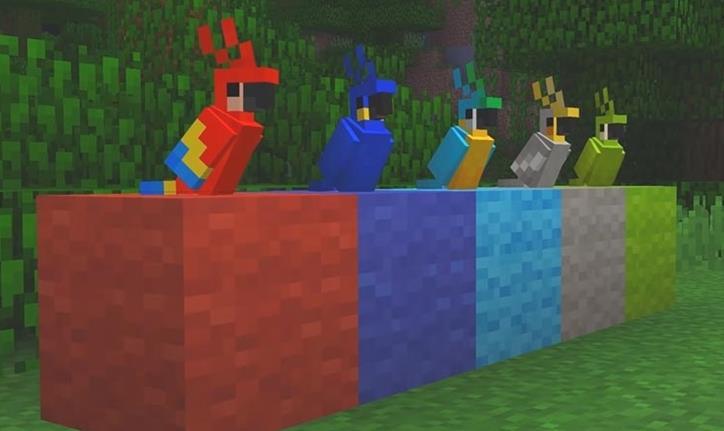 Wie man Papageien in Minecraft züchtet: Alles, was Sie wissen müssen