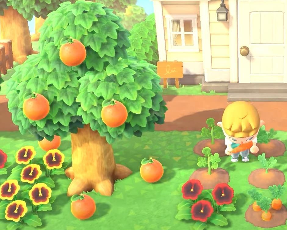 Wie erhält man Zutaten in Animal Crossing: New Horizons?