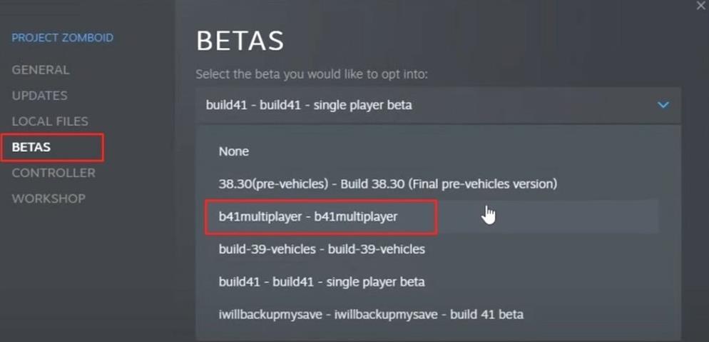 Projekt Zomboid Build 41 Multiplayer - Wie man mit Freunden spielt