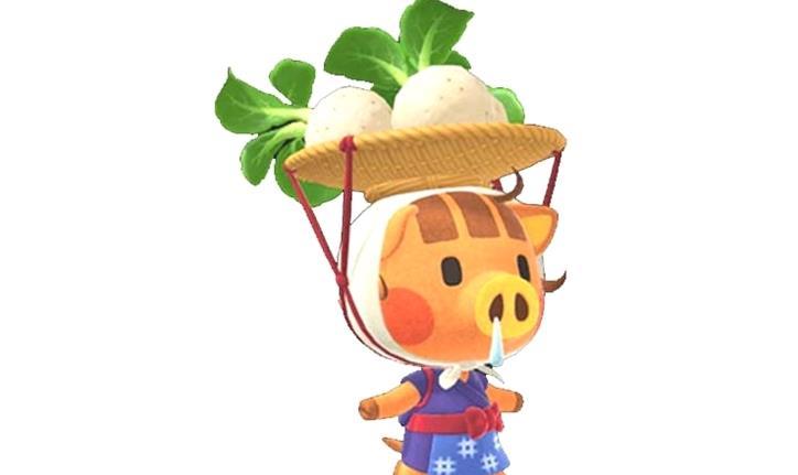Wie pflanzt man Rüben in Animal Crossing New Horizons?
