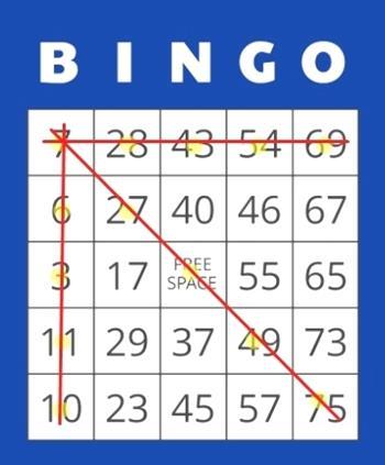Wie kann man Bingo spielen?