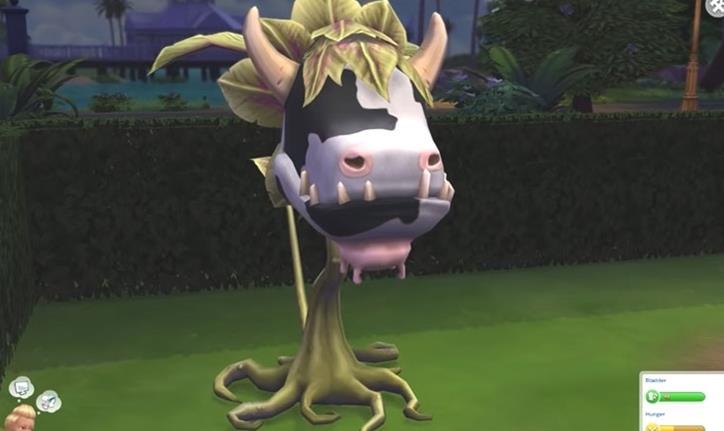Sims 4: Wie man eine Kuhpflanze bekommt